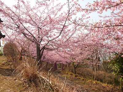 a0006033_14244727.jpg