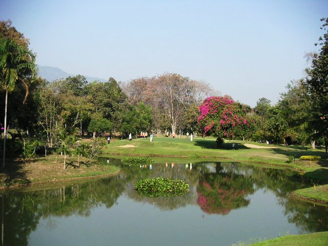 c0127933_20134486.jpg