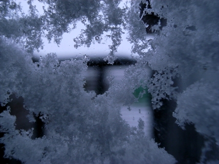 c0207233_323774.jpg
