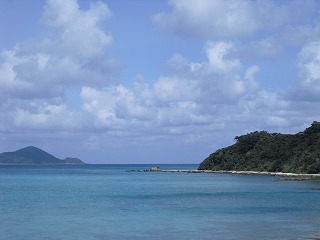 a0153139_23391037.jpg