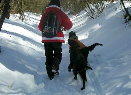 軽井沢で雪遊びぃ～　１日目_f0107145_1738057.jpg