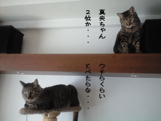 f0116546_2259869.gif