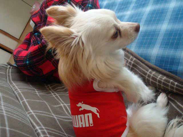 c0162160_61373.jpg