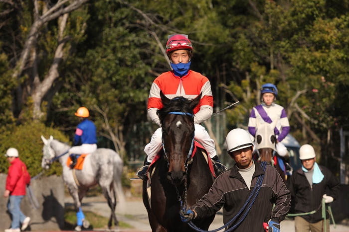 2010年2月20日（土） 高知競馬 1R 四万十街道ひな祭特別 A2_a0077663_1325232.jpg