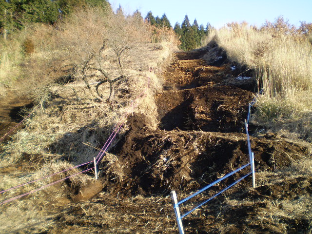 c0198263_22423747.jpg