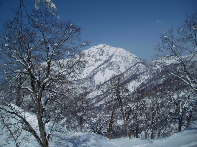 長野・小谷村方面へバックカントリースキーツアー_f0145963_20352617.jpg