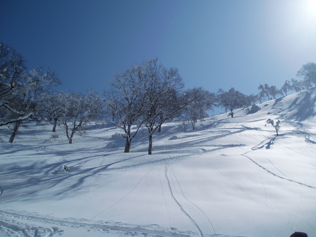 長野・小谷村方面へバックカントリースキーツアー_f0145963_20395048.jpg