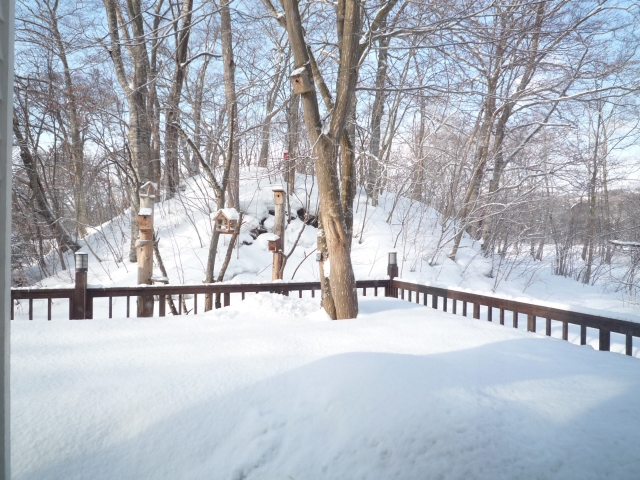 2010　北海道旅行 …その2 これが見たくて毎年ここへ来る_b0141664_12124484.jpg