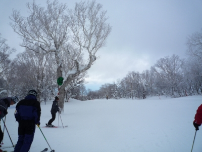 2010　北海道旅行 …その2 これが見たくて毎年ここへ来る_b0141664_12343458.jpg