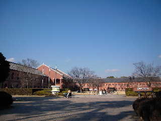 姫路市立美術館_e0033570_205881.jpg