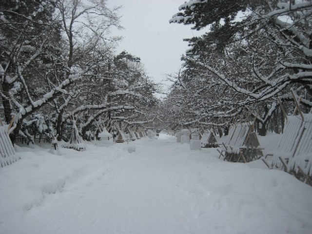 c0013687_0205498.jpg