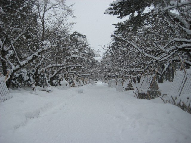 冬の津軽を歩く(2)弘前城の雪燈籠まつり_c0013687_0205498.jpg