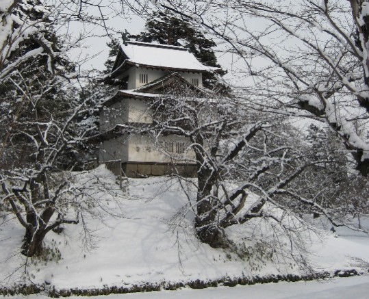 冬の津軽を歩く(2)弘前城の雪燈籠まつり_c0013687_0213741.jpg