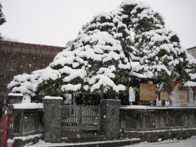 c0013687_2223183.jpg