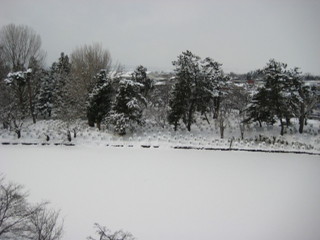 c0013687_2265485.jpg