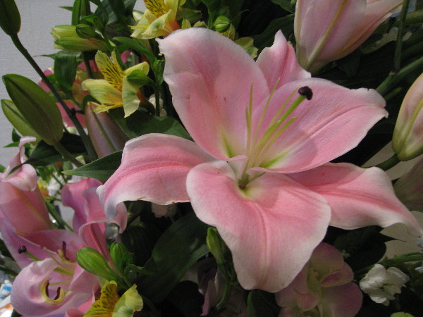 c0132387_26129.jpg