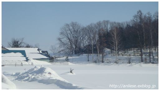 雪白的城市 北海道旭川_b0070188_10584681.jpg