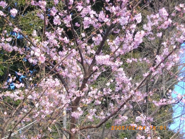 e0149405_1834692.jpg