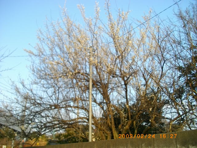 e0149405_18372263.jpg