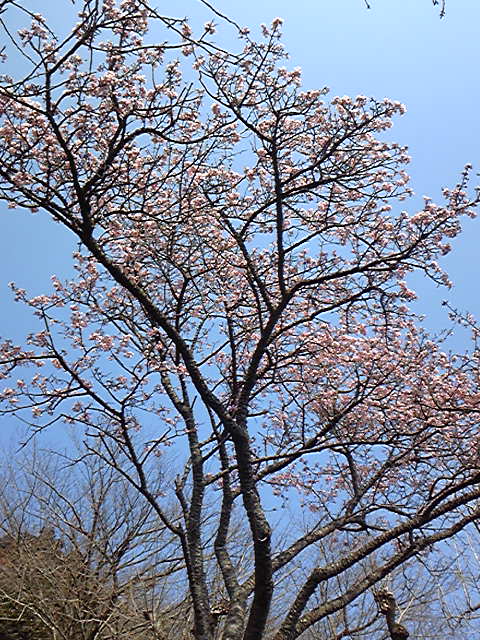 e0015108_23261940.jpg