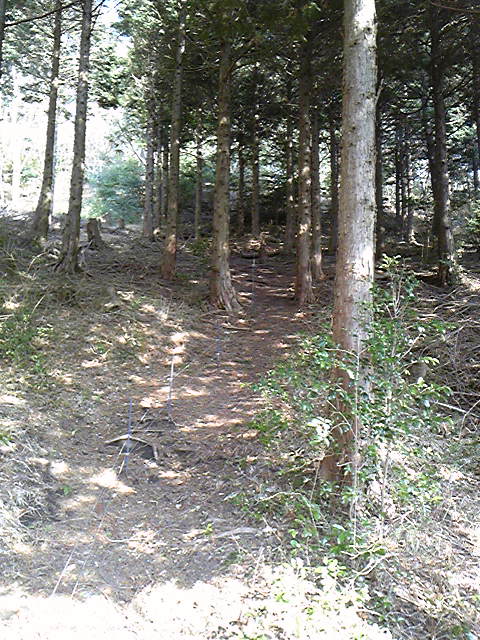 e0015108_23284957.jpg