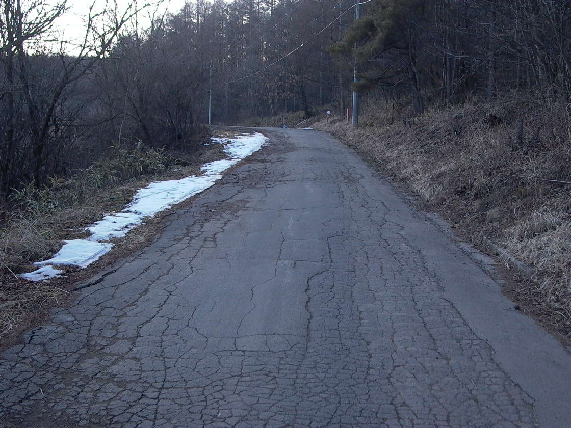 a0150213_230972.jpg