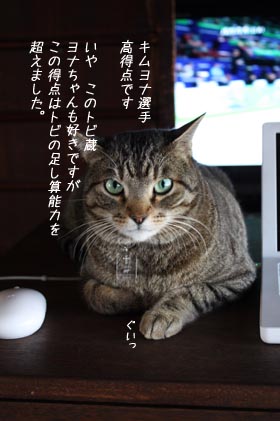 猫が日溜まりに祈るとき_e0156015_2313519.jpg