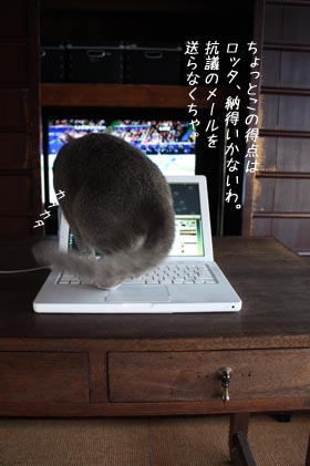 猫が日溜まりに祈るとき_e0156015_2314112.jpg