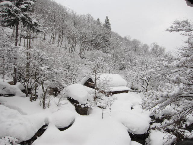 宝川温泉～水上スキー場1泊２日_a0100919_1648529.jpg