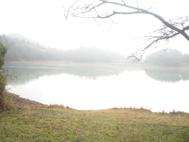 日田時間~~_a0125419_15261342.jpg