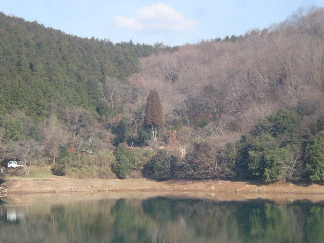 日田時間~~_a0125419_1532311.jpg