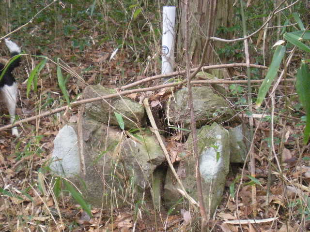 日田時間~~_a0125419_15361482.jpg
