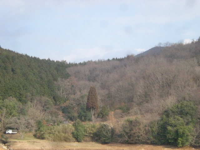 下山の途中で~_a0125419_18161488.jpg