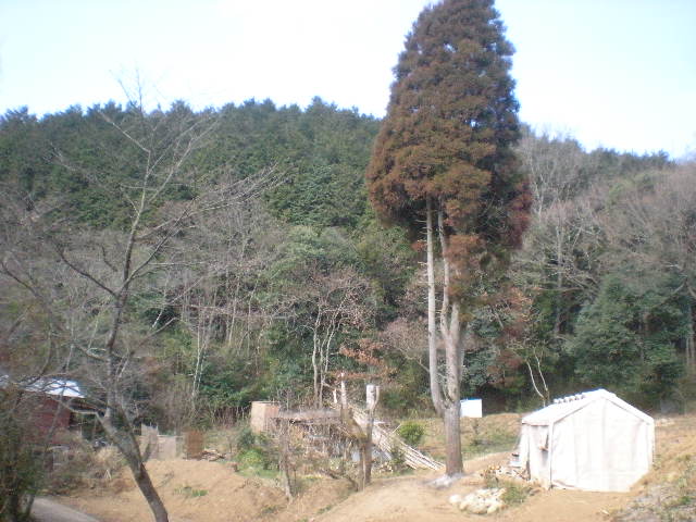 下山の途中で~_a0125419_1821185.jpg