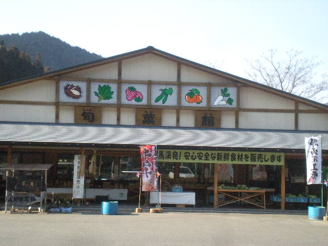 下山の途中で~_a0125419_18372518.jpg
