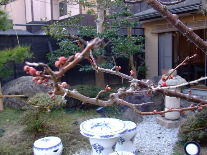 a0040929_2218352.jpg