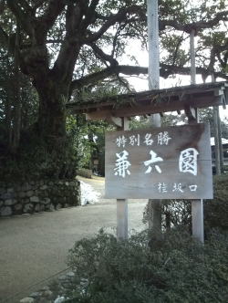 金沢出張_c0113733_1303275.jpg