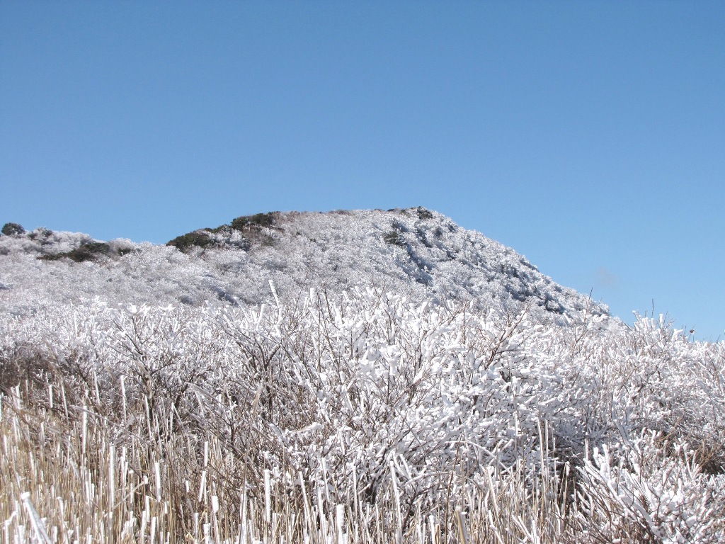 黒岩泉水(10,2,20)_f0039234_17511167.jpg