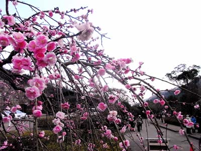 b0019140_15383313.jpg