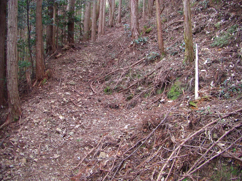 大峰前衛の山、櫃ヶ岳・栃ヶ山と津越の福寿草_a0122149_22112211.jpg