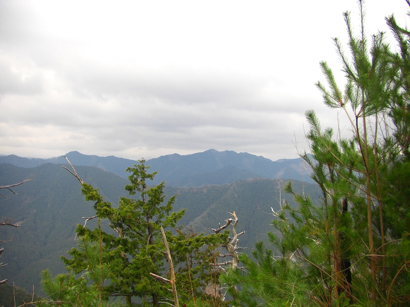 大峰前衛の山、櫃ヶ岳・栃ヶ山と津越の福寿草_a0122149_22211774.jpg