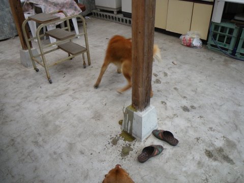 f0046250_203471.jpg