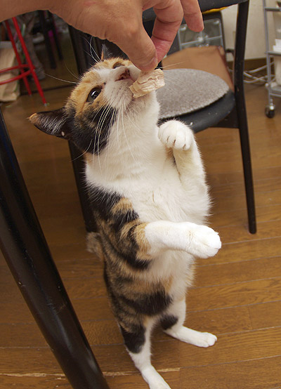 あれ?木曜日ですよ。_a0028451_13105254.jpg