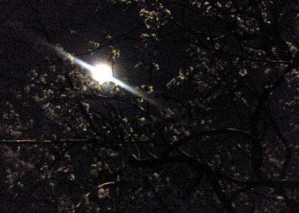 c0039153_22472950.jpg