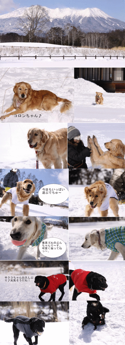 e0149256_13294891.gif