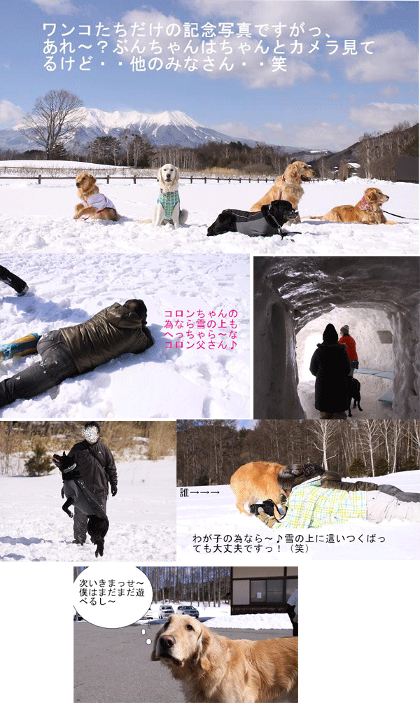 e0149256_13303066.gif