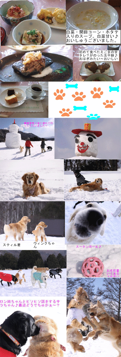 e0149256_13313016.gif