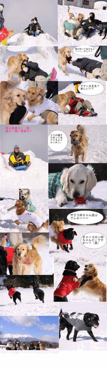 e0149256_13322625.gif