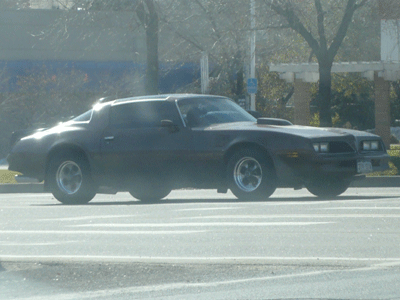 b0168369_16153290.gif
