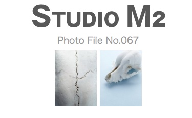 STUDIO M2 Photo File No.067「頭蓋骨」_a0002672_2257011.jpg